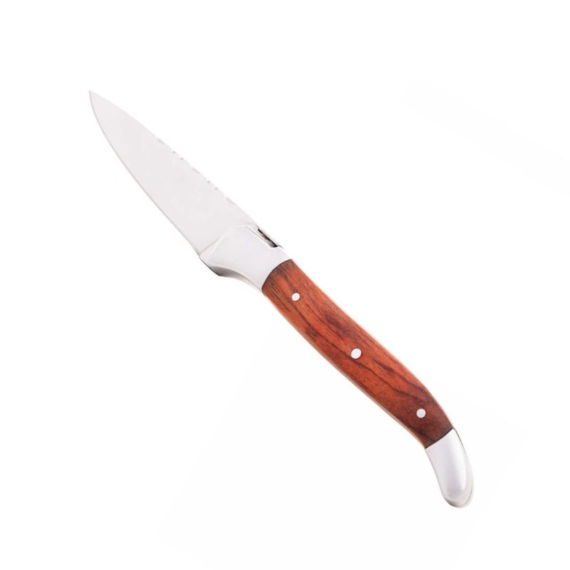 FACA-LEGUMES-INOX-CABO-MADEIRA-20-5CM-LAGUIOLE-R71862